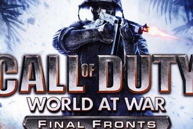 Call Of Duty World At War Final Fronts Game