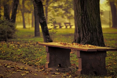 Download Wallpapers 1920x1080 Bench, Park, Leaves, Autumn, Trees ...