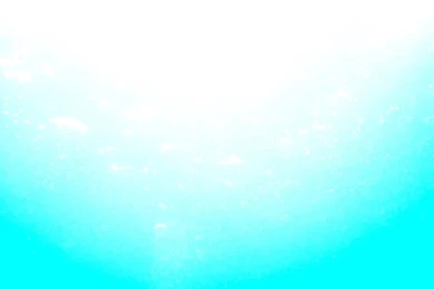 Desktop Wallpapers For February 2012