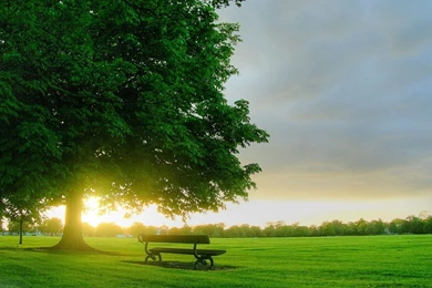 Hd_cool_desktop _wallpaper _landscape.jpg