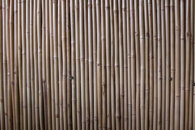 Download Texture: Bamboo, Texture Bamboo?, Bamboo Texture, Photo ...