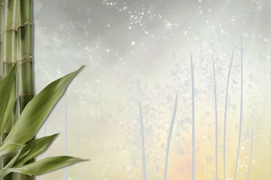 High Resolution Bamboo Simple Texture Wallpapers Full Size ...