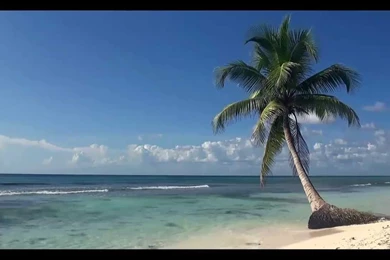 Beach Backgrounds   YouTube