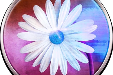 Free Wallpapers And Backgrounds   Android Apps On Google Play