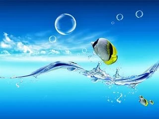 Soft Snappy: PC Wallpapers