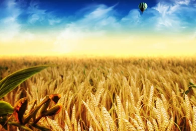 Windows7 Wallpapers (25)   Crazy Art Ideas