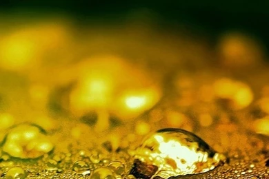 Wet Leaf Bokeh Galaxy S4 S5 Wallpapers HD 1080x1920