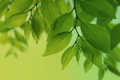 Image From Samsung Galaxy S4 Full HD Wallpapers Extracted And ...