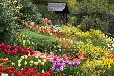 6 Rose Garden English Wallpapers With 1920x1080 Resolution 457 ...