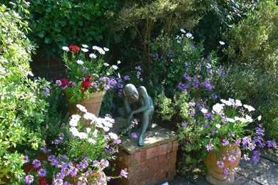 Free Wallpapers And Screensaver