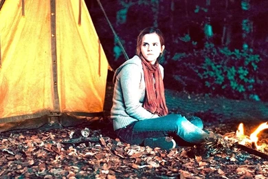 Hermione Granger Wallpapers   Hermione Granger Wallpapers (25680125 ...