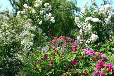 Free Wallpapers And Screensaver