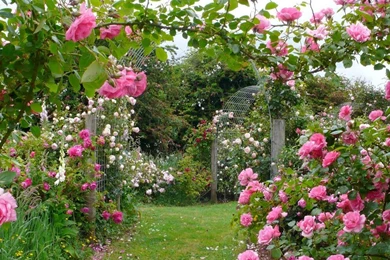 Gardens Wallpaper: New Ideas English Rose Garden, Top 7 Awesome ...