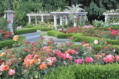 Download Garden Vancouver Wallpapers 1920x1089