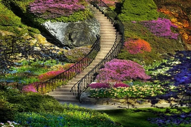 Soul Gardening Tools To Strengthen And Deepen Intuition ...