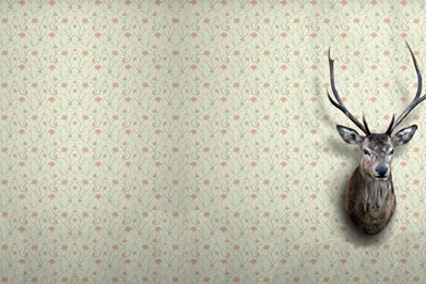 1900 Wallpapers   Wallpapers HD Base