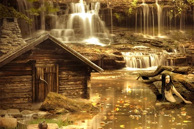 1600x1200 Forest Creature Desktop PC And Mac Wallpapers