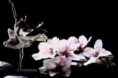 Free Beach With Flowers Nature Ballet Dancer Wallpapers