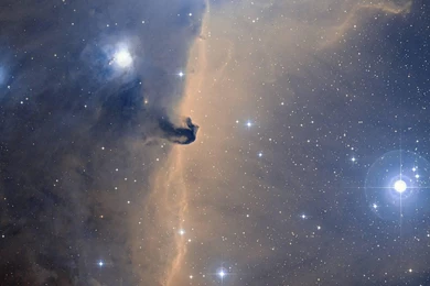 Space Horsehead Nebula Wallpapers   (