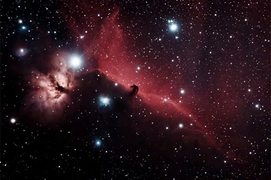 Wallpapers Horsehead Nebula   Pics About Space