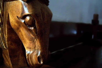 HORSE HEAD WALLPAPER   (