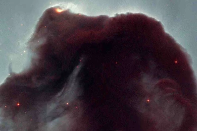 Horsehead Nebula   The Hubble Telescope Wallpapers (22811202)   Fanpop