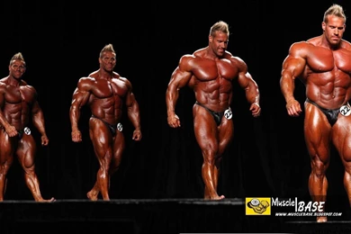 Images For Jay Cutler Animated Gif