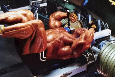 Jay Cutler Legsjay Cutler Wallpapers Hd Bfuynpxe Natural ...