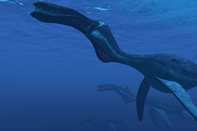 M Y S T • Sunners Full HD Wallpaper: Http://goo.gl/XJoqA