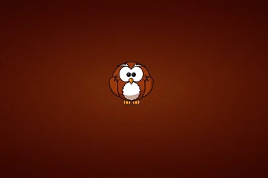 Owl Minimalism Art Cartoon Wallpapers   1680x1050   246334