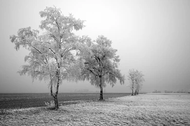 Windows 7 desktop backgrounds first frost free backgrounds « All ...