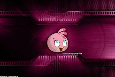 Pink Bird   Angry Birds Wallpapers (32079959)   Fanpop