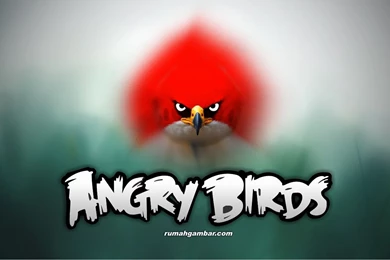 Wallpapers Angry Bird Birds For Ipads Angrybirds Guru 1360x768 ...