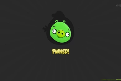 16528) Angry Birds Wallpapers Ideas Attachment   WalOps.com