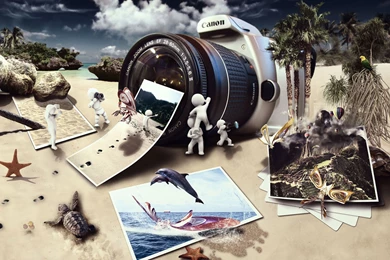 Photos From The Trip Wallpapers And Images Wallpapers, Pictures ...