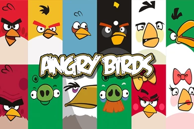 Birds photos free wallpaper.jpg