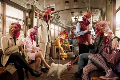 A Trip To The Henhouse Wallpapers And Images   Wallpapers ...