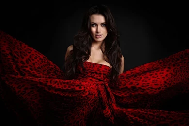 Girl In Red Cheetah Print Dress Widescreen Wallpapers