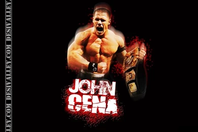 Wwe John Cena Funny Quotes   Album On Quotesvil.com