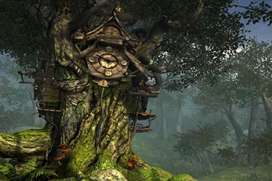 114 Forest HD Wallpapers