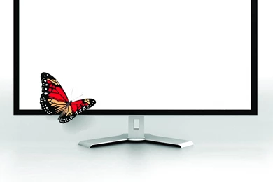 Download Wallpapers 3840x2160 Tv, Butterfly, Monitor, White ...