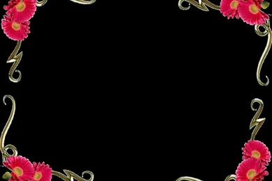 Background Images Flowers   ClipArt Best