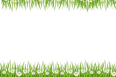 Summer Flowers Beautiful Backgrounds   Design, Flowers, Green ...