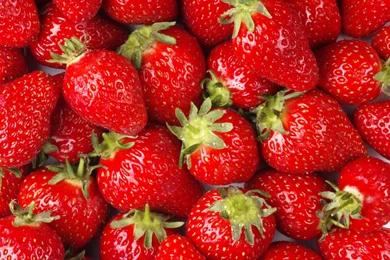 AVA Strawberries Wallpapers 2 (FullScreen)