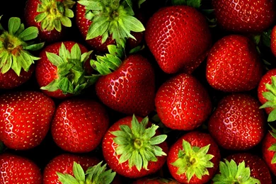 Strawberry Wallpaper Backgrounds