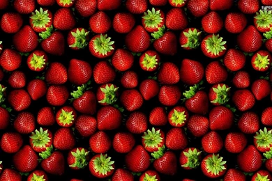 Strawberries Wallpapers   Photography Wallpapers
