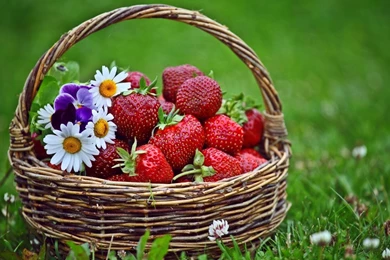 1600x900 Basket Strawberries Wallpapers