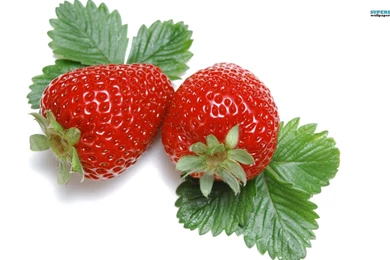 Strawberries Wallpapers   Photography Wallpapers