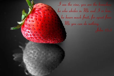 WPE: Strawberry Fruit By Christians On DeviantArt