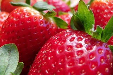 Strawberries Wallpapers